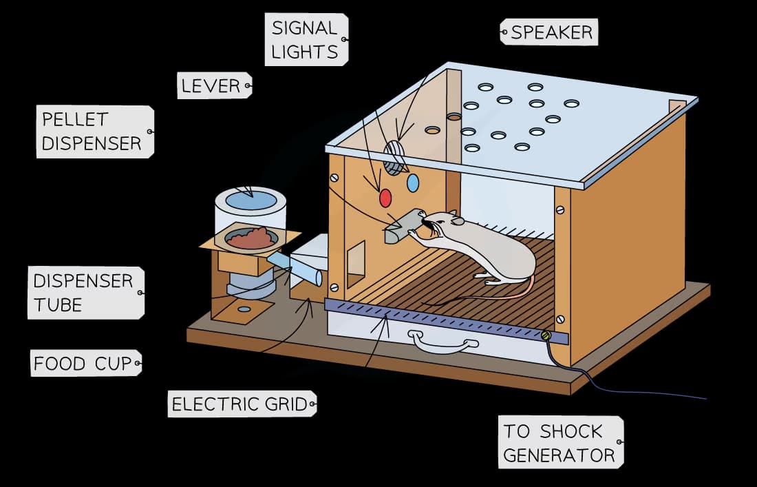 Diagram of laboratory setup with rat in a box, featuring labeled components: pellet dispenser, dispenser tube, lever, signal lights, speaker, electric grid, and shock generator.