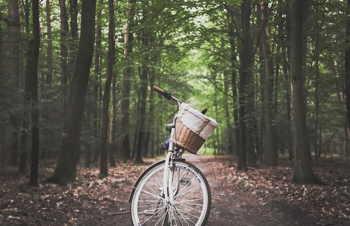 A bicyle with a basket in the woods