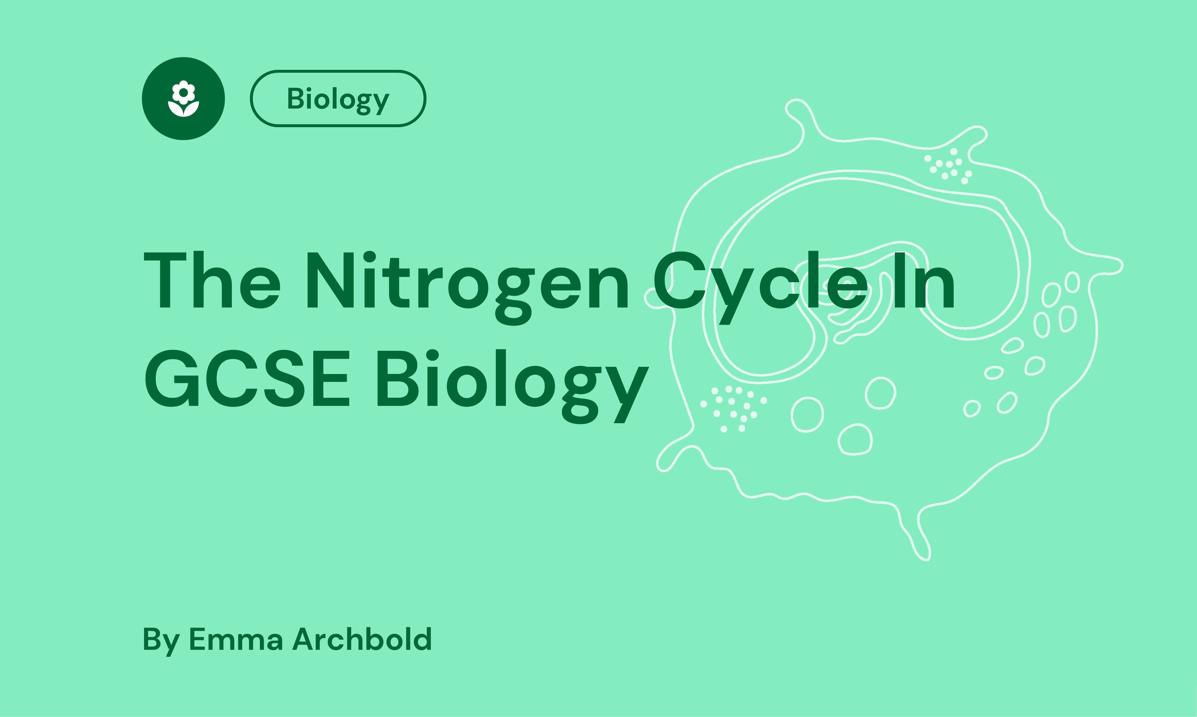 GCSE Biology Nitrogen Cycle cover with green background, a biology icon, and a cell diagram. Text by Emma Archbold.