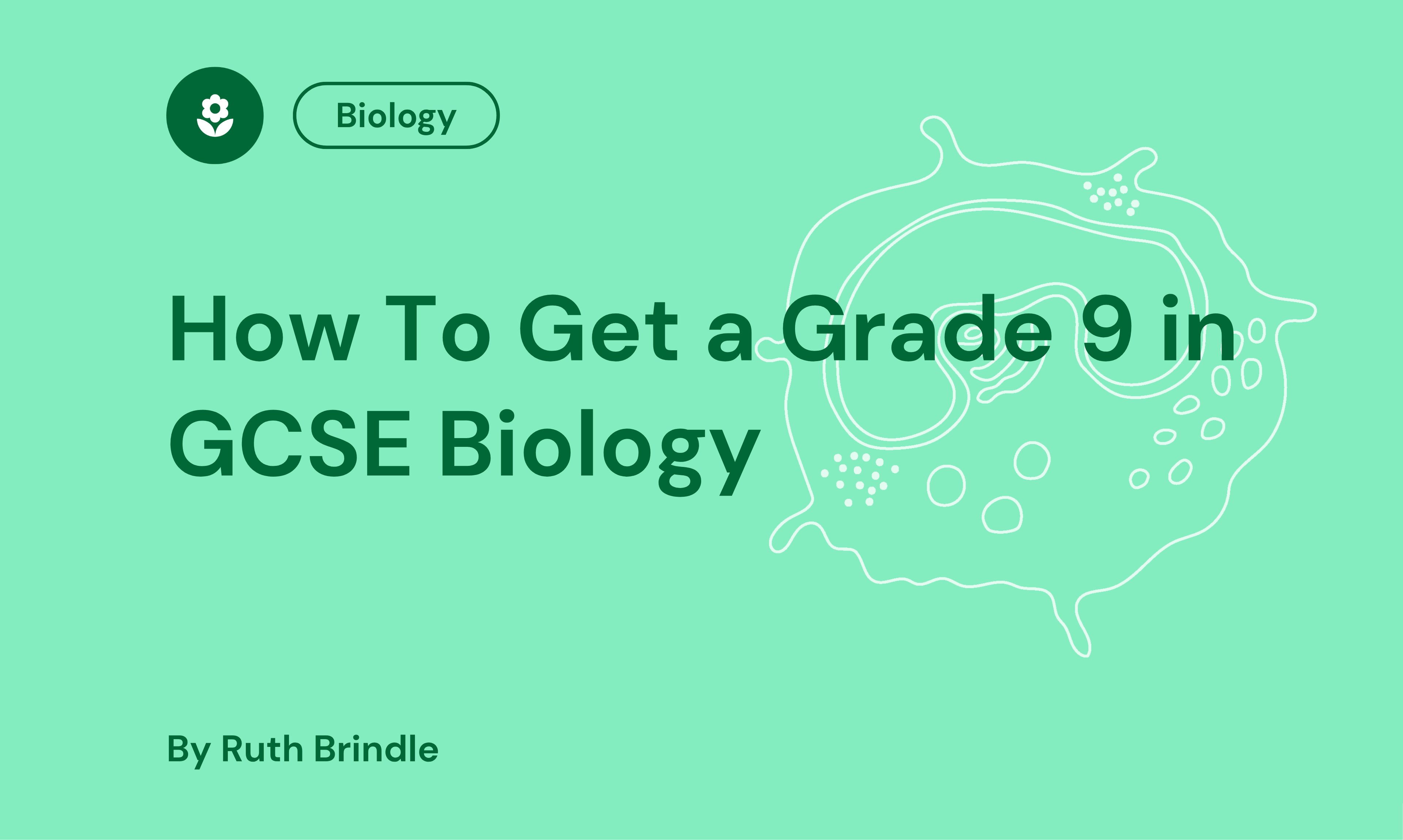 How To Get a Grade 9 in GCSE Biology