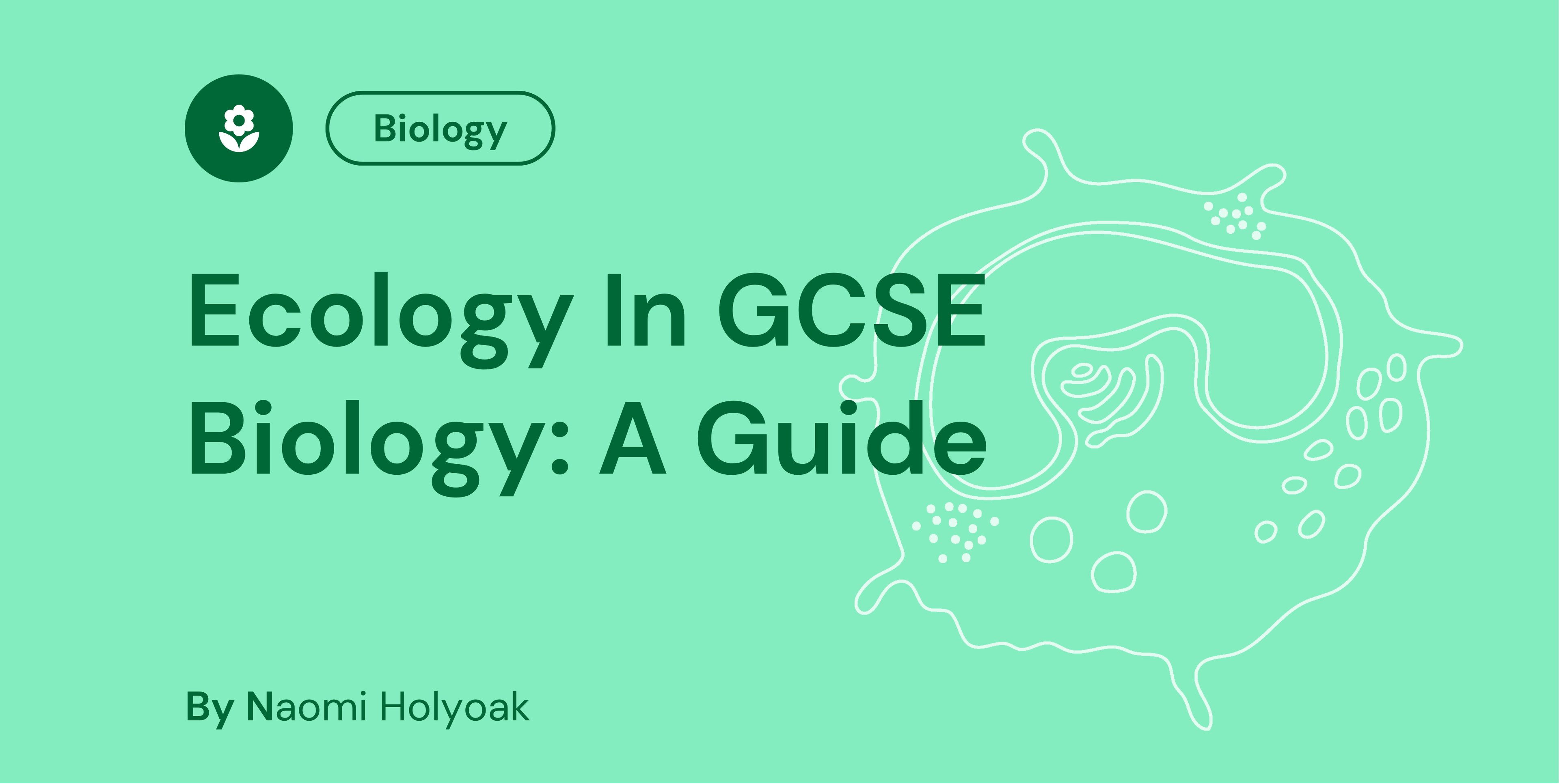 Biology guide cover titled "Ecology In GCSE Biology: A Guide" by Naomi Holyoak, features biology icon and abstract illustration on green background.