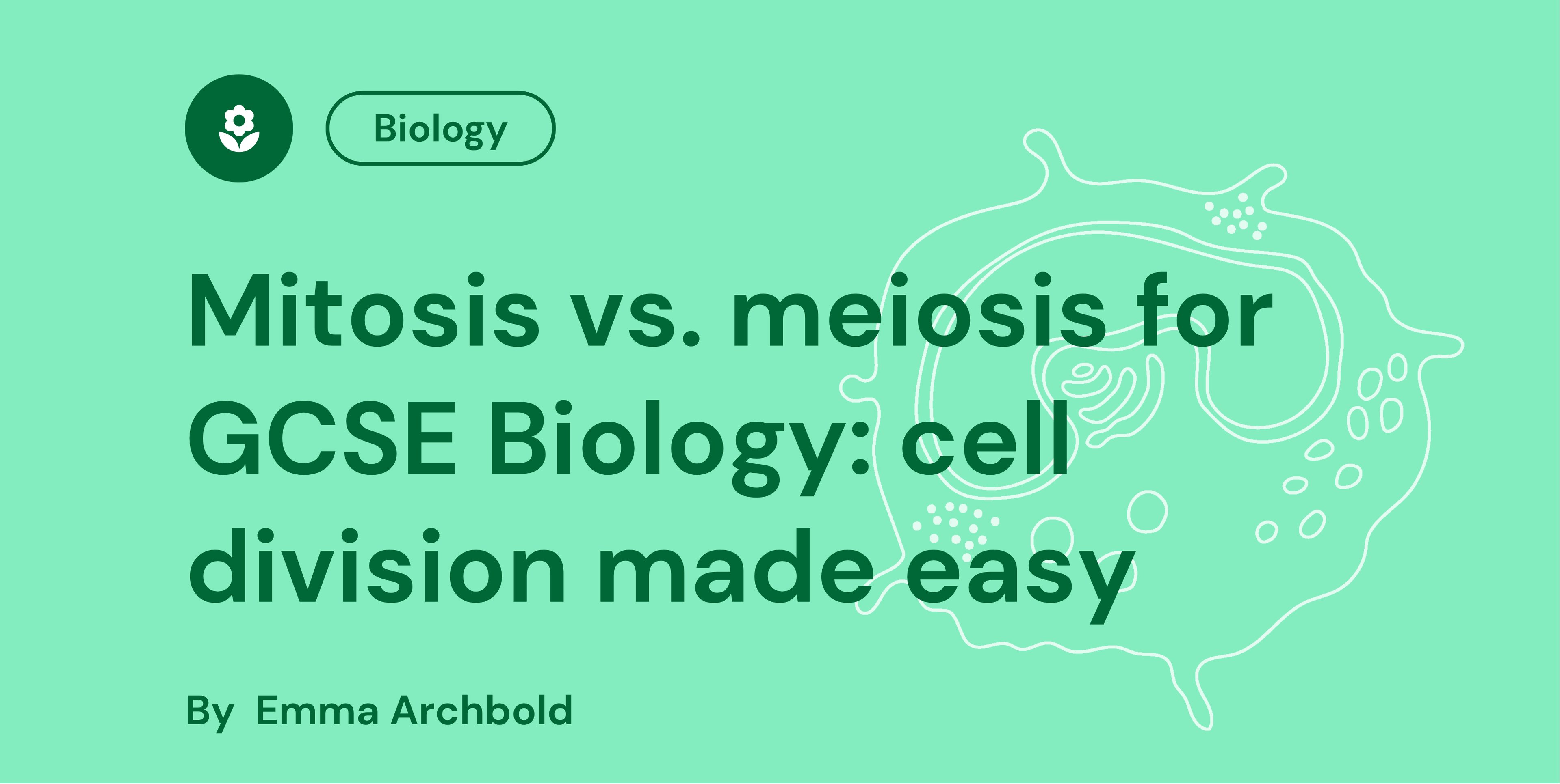 Green graphic with text "Mitosis vs. meiosis for GCSE Biology: cell division made easy" by Emma Archbold, features a cell diagram.
