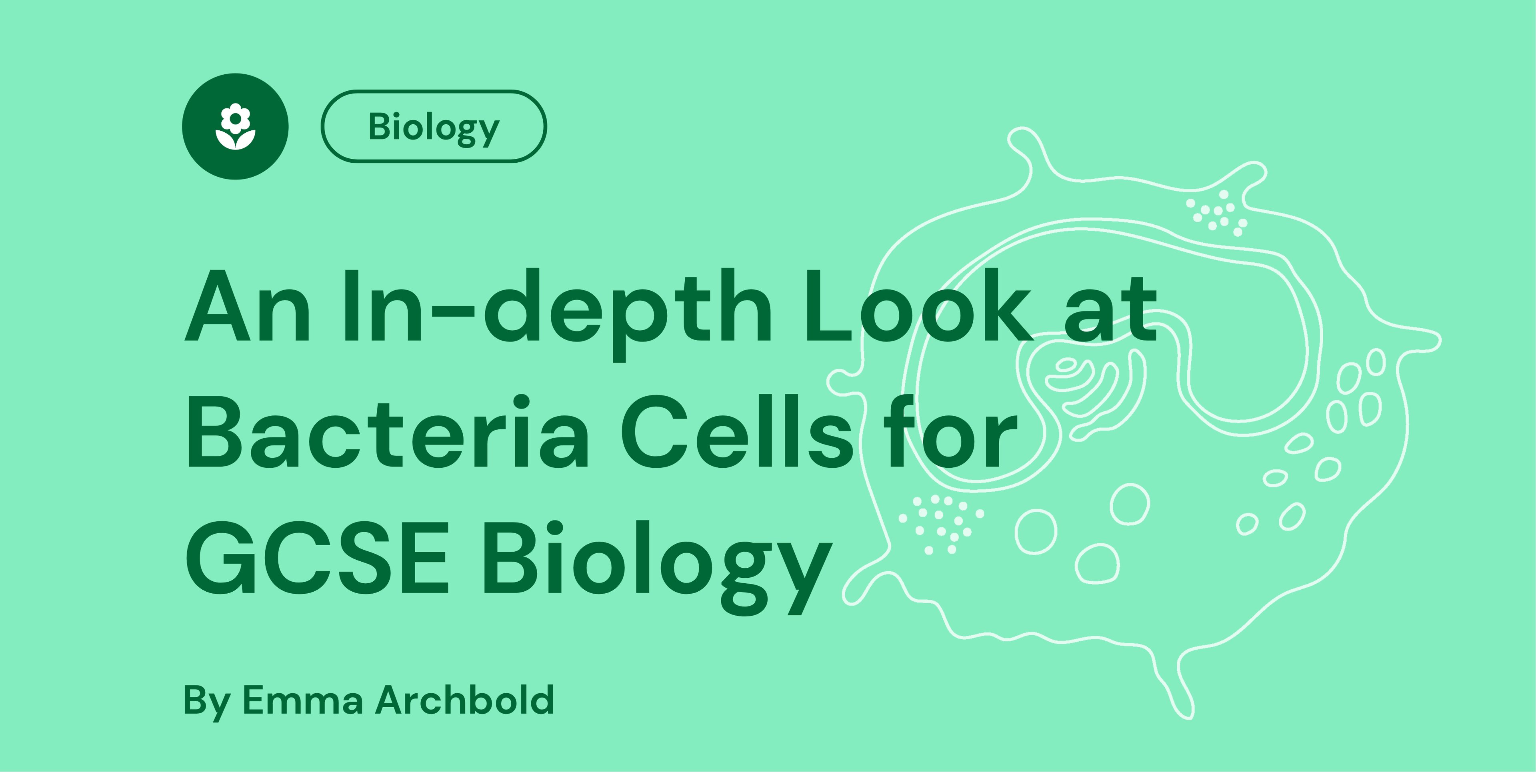 Green graphic titled "An In-depth Look at Bacteria Cells for GCSE Biology" with line art of a cell and a flower icon labelled "Biology," by Emma Archbold.