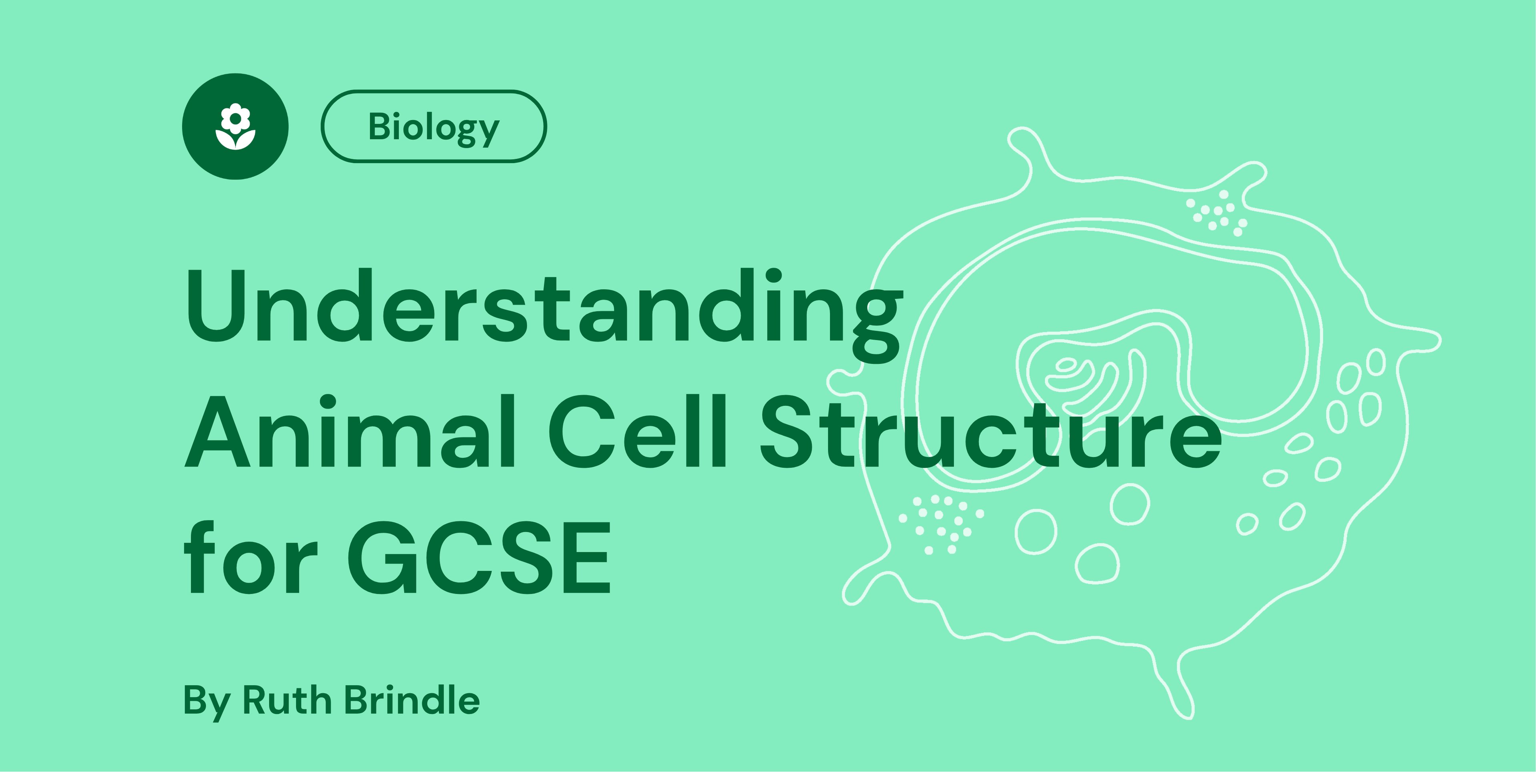 Green background with "Biology" badge, title "Understanding Animal Cell Structure for GCSE", and outline of a cell. Authored by Ruth Brindle.