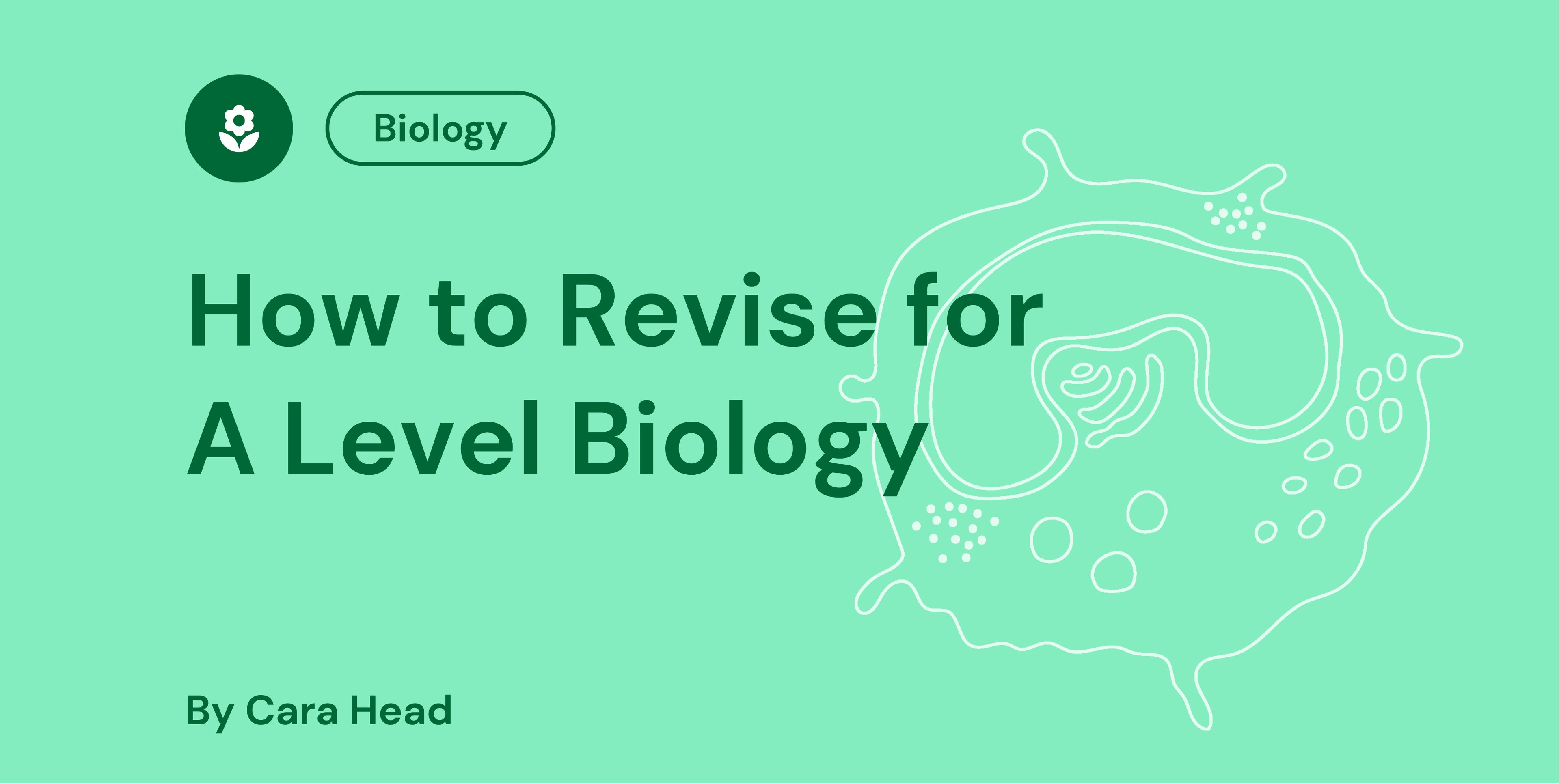 Green graphic with "How to Revise for A Level Biology" by Cara Head, featuring a cell diagram and biology icon in top left corner.