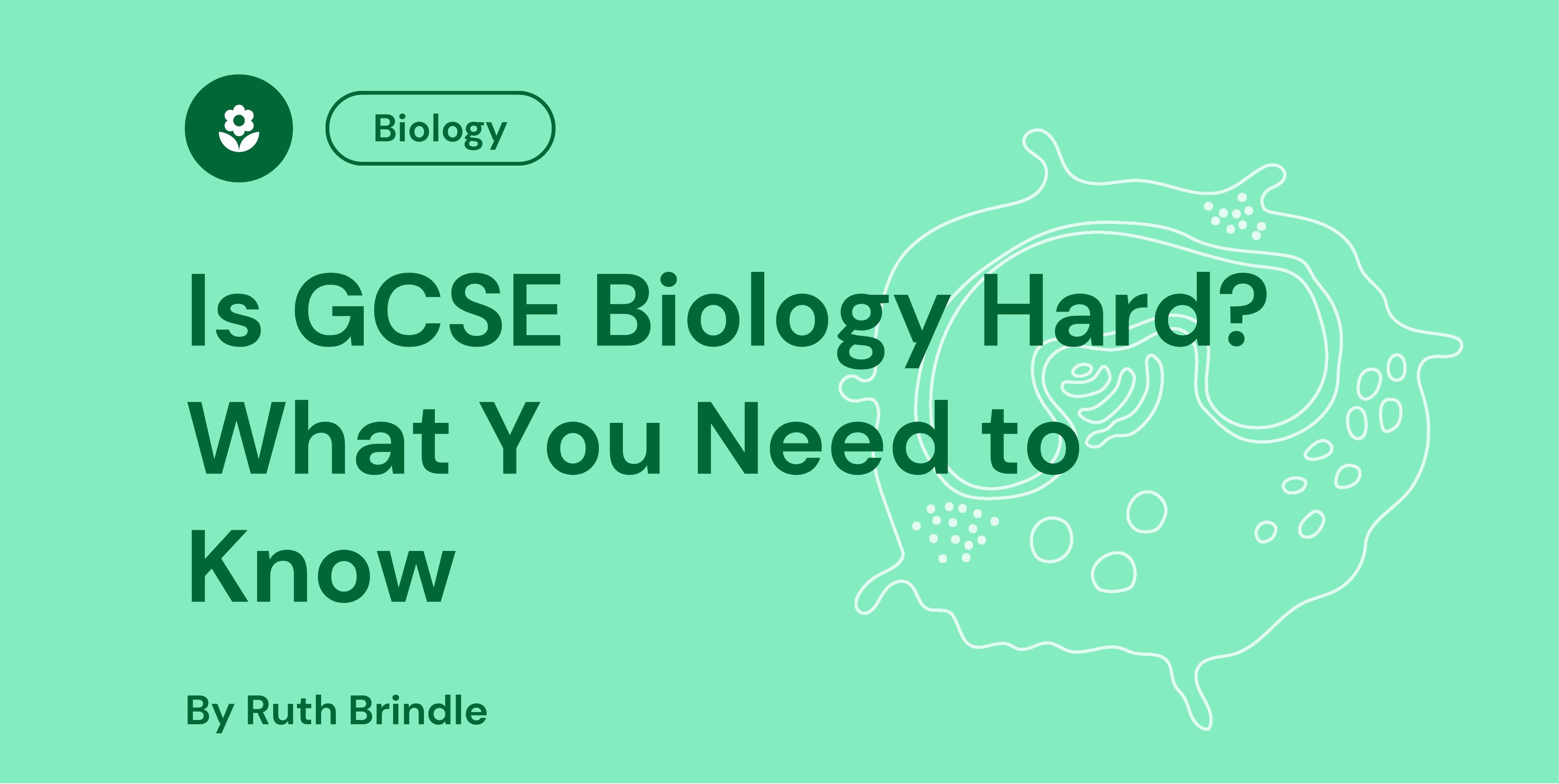 Is GCSE Biology Hard What You Need to Know