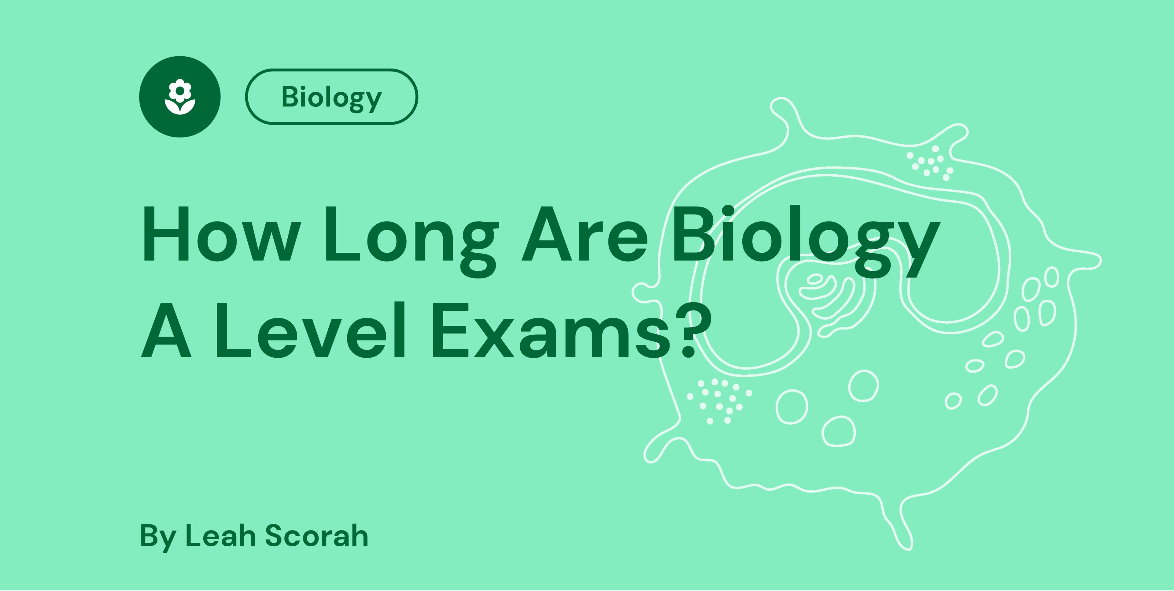 How Long Are Biology A Level Exams