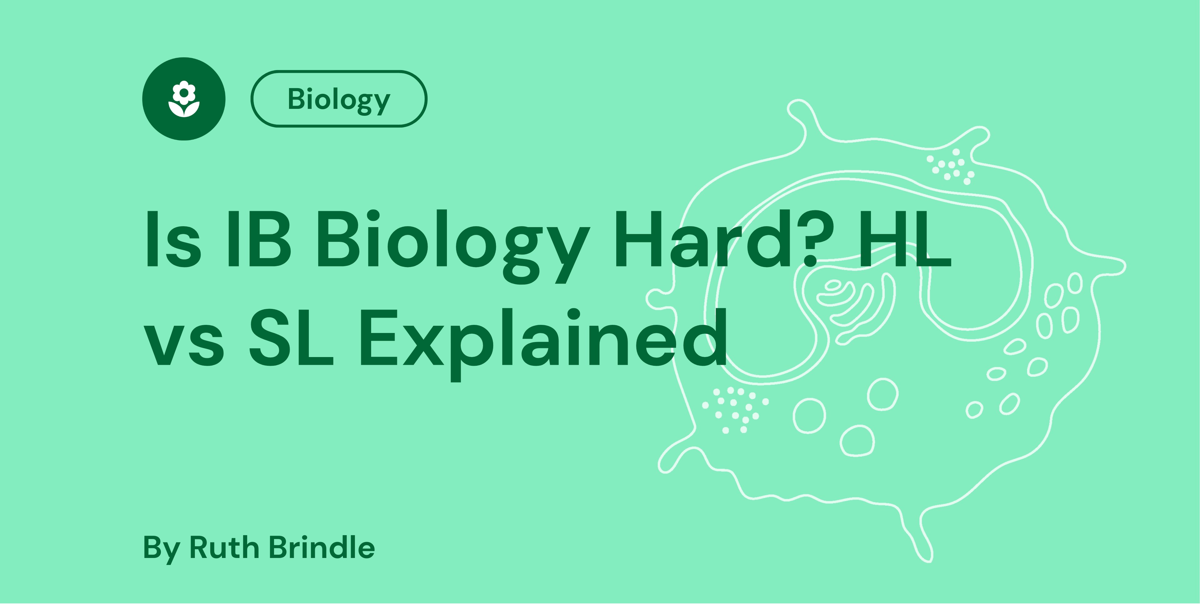 Is IB Biology Hard HL vs SL Explained