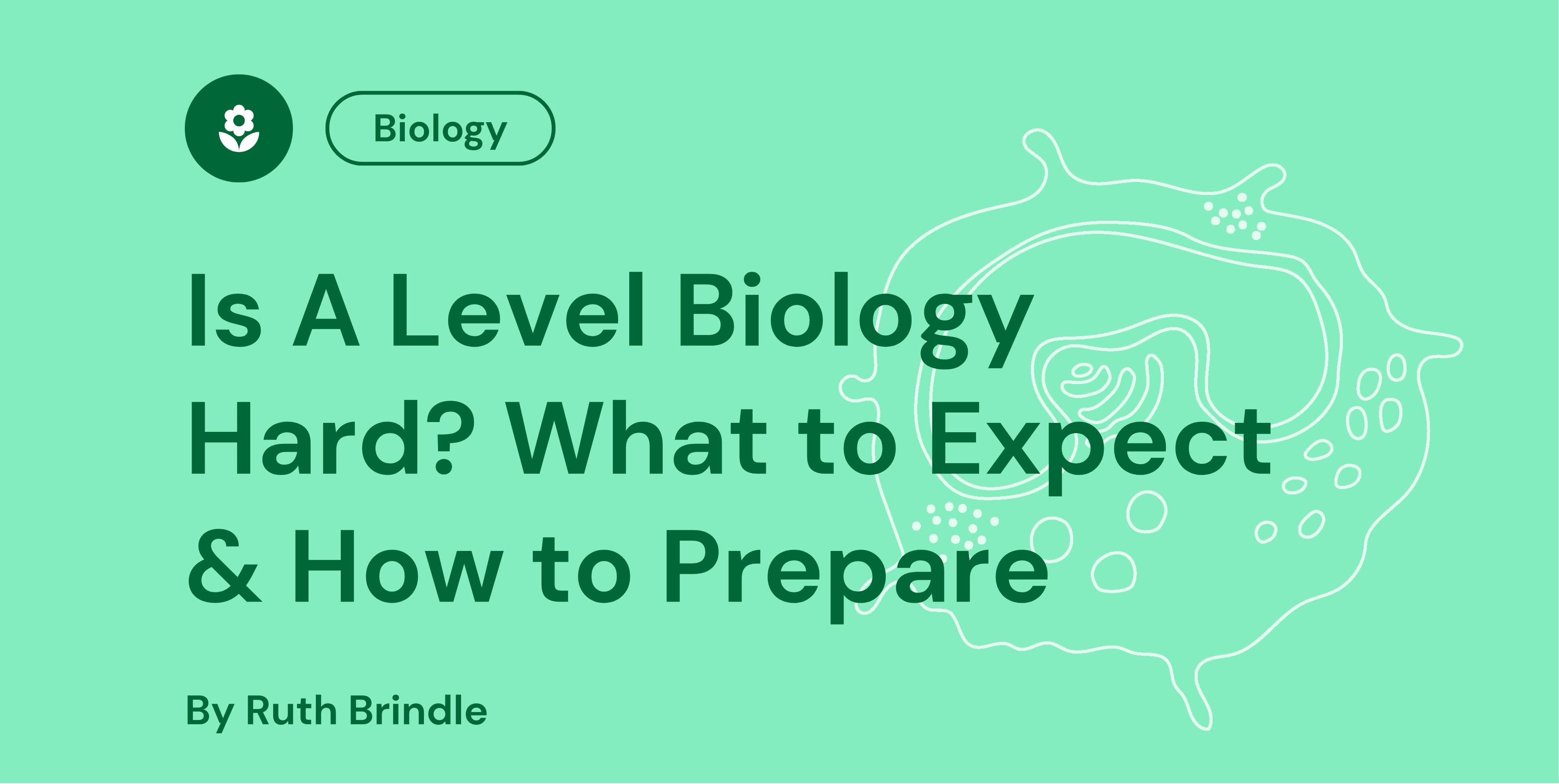Is A Level Biology Hard What to Expect & How to Prepare