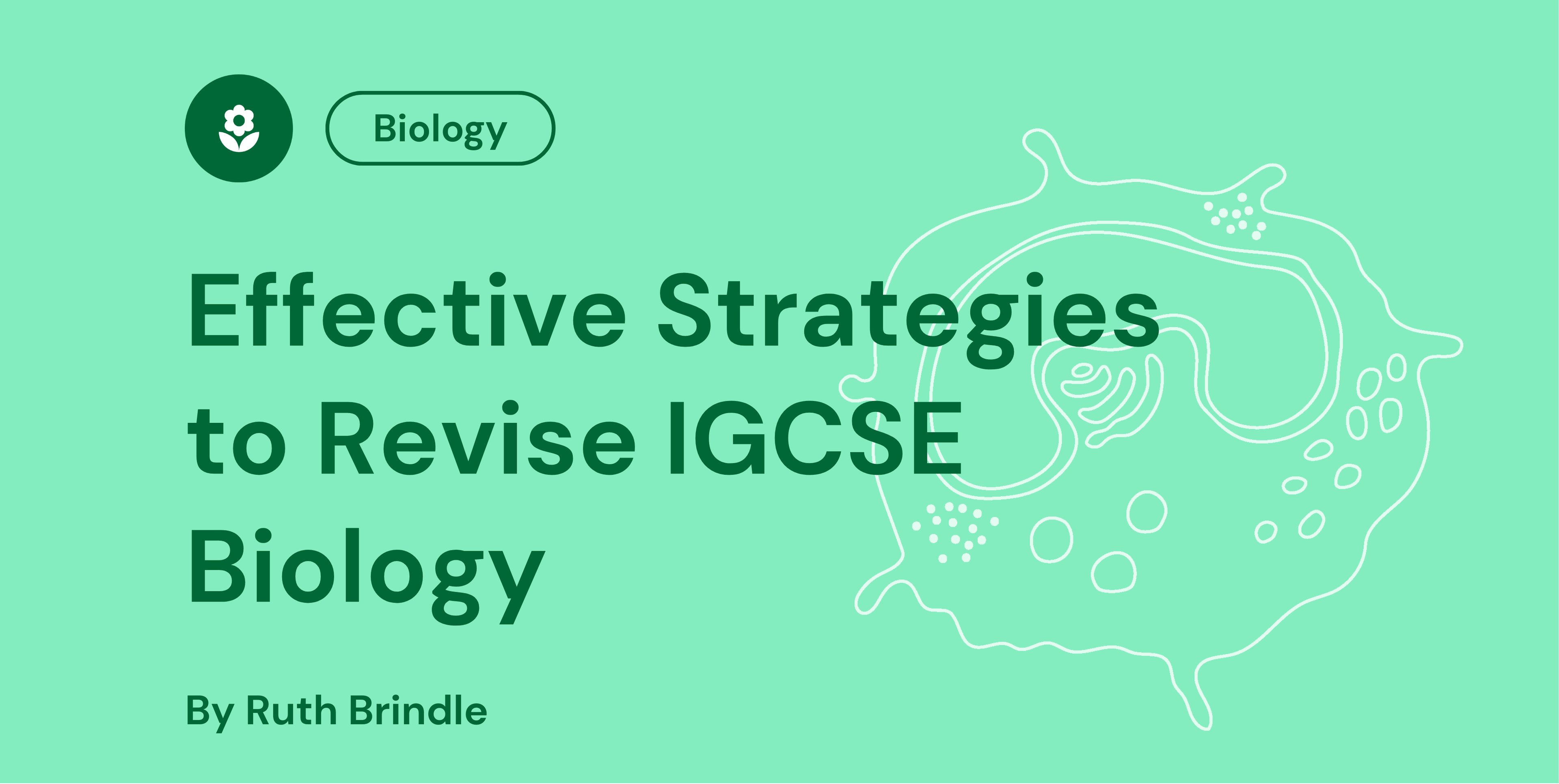 Effective Strategies to Revise IGCSE Biology