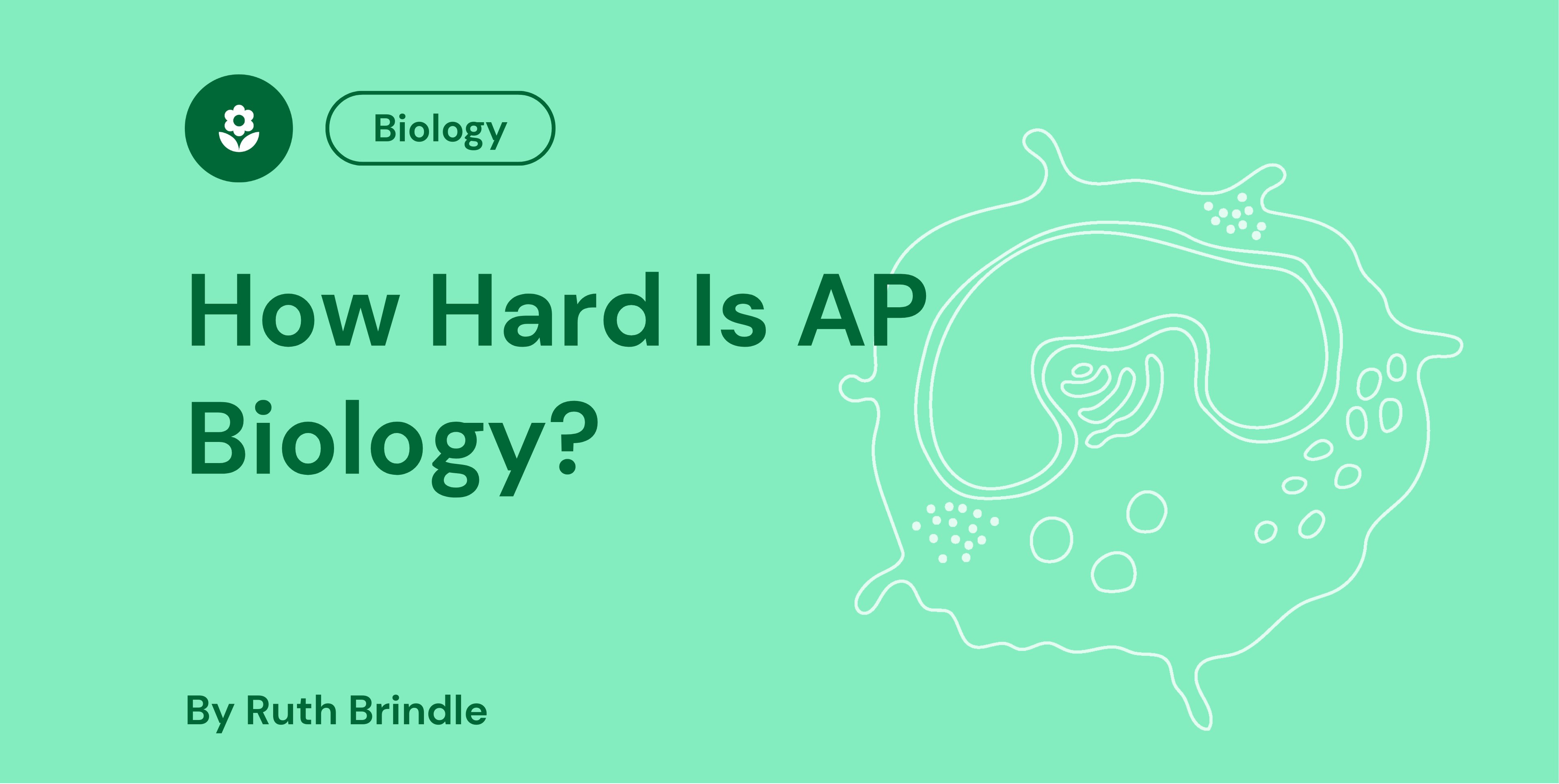 How Hard Is AP Biology?