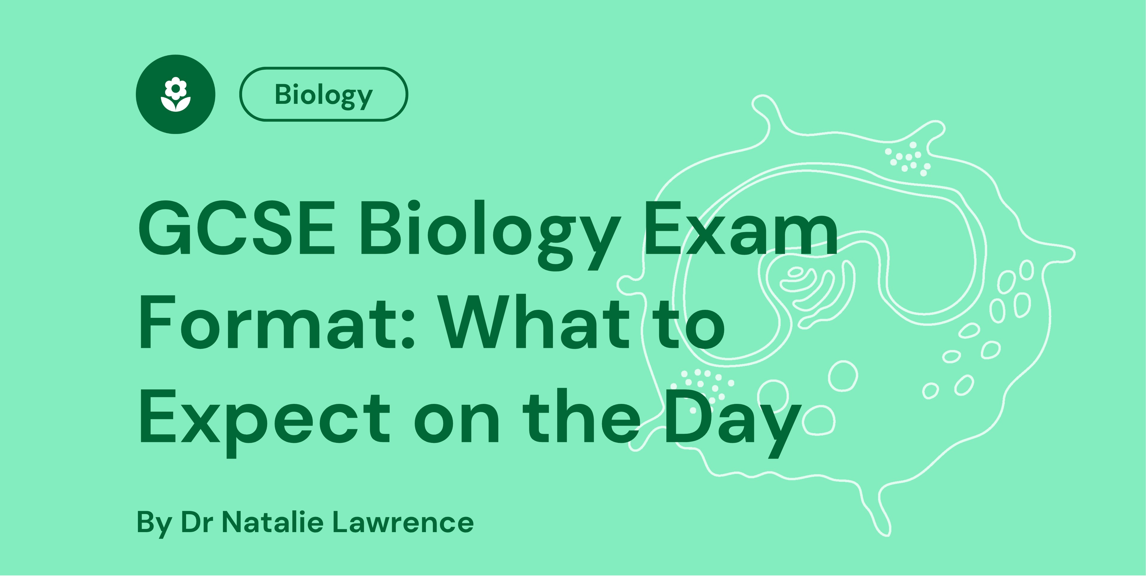 GCSE Biology Exam Format What to Expect on the Day