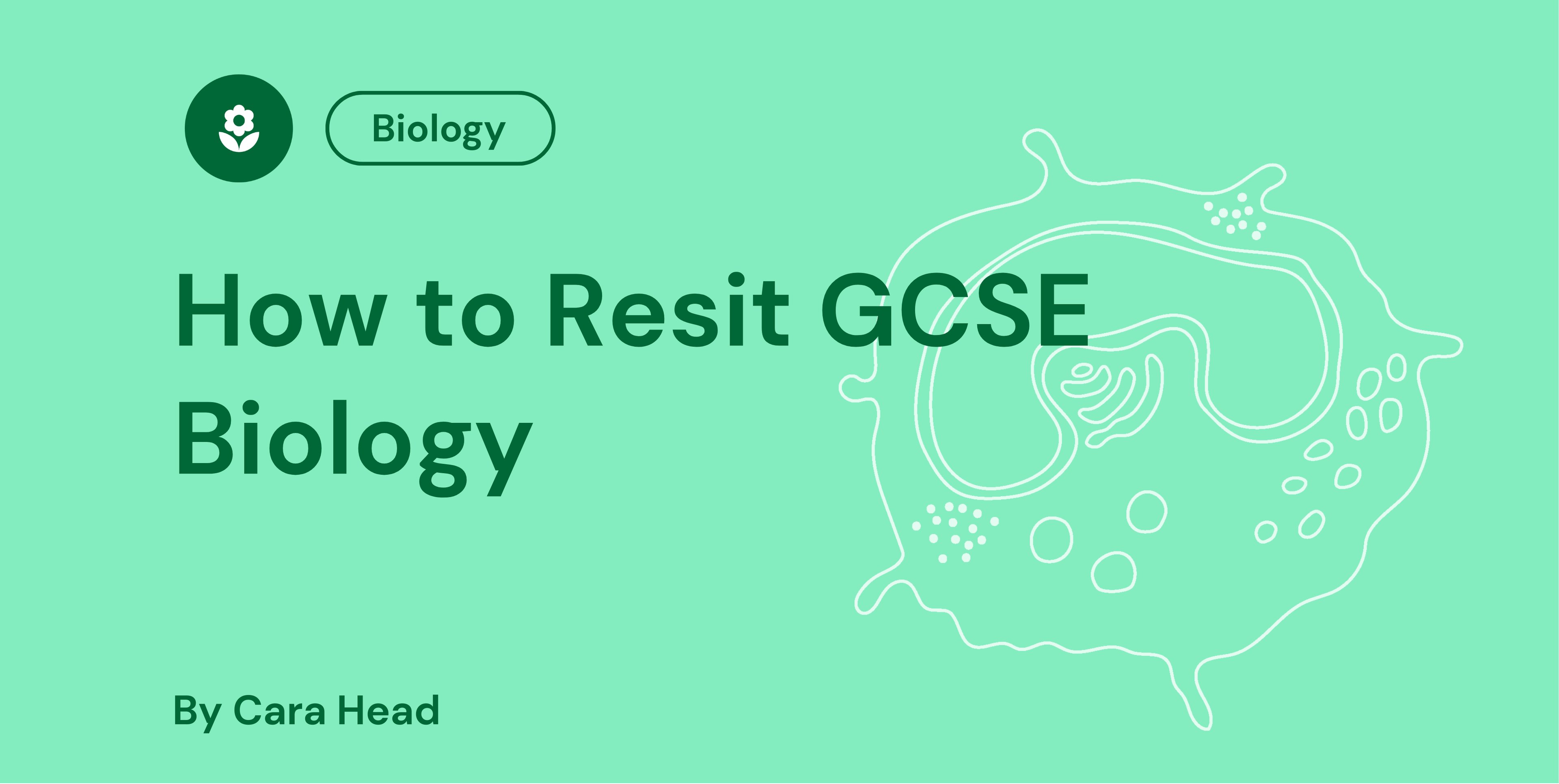 How to Resit GCSE Biology