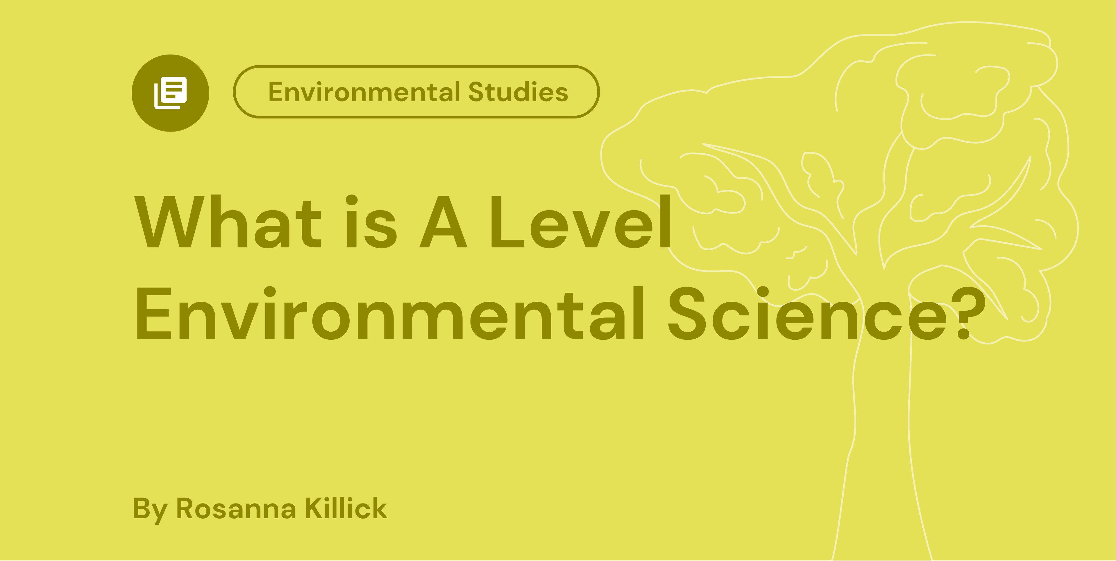 What is A Level Environmental Science?