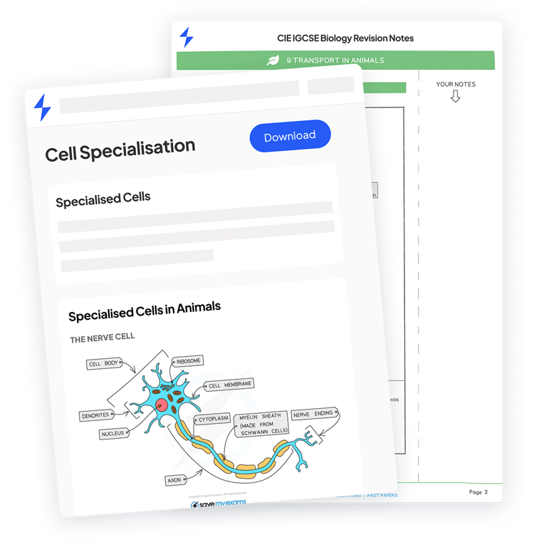 WJEC A Level Sociology Specification 1200 